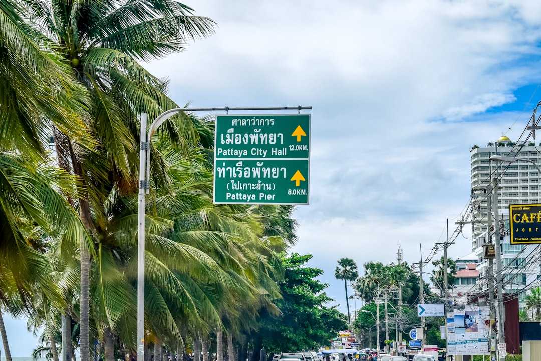 A street with palm trees and a street sign